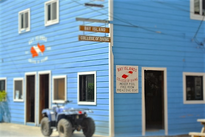 BICD Dive Center and Hotel In Utila