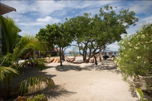 Beach at Underwater Vision Scuba Dive Shop in Utila