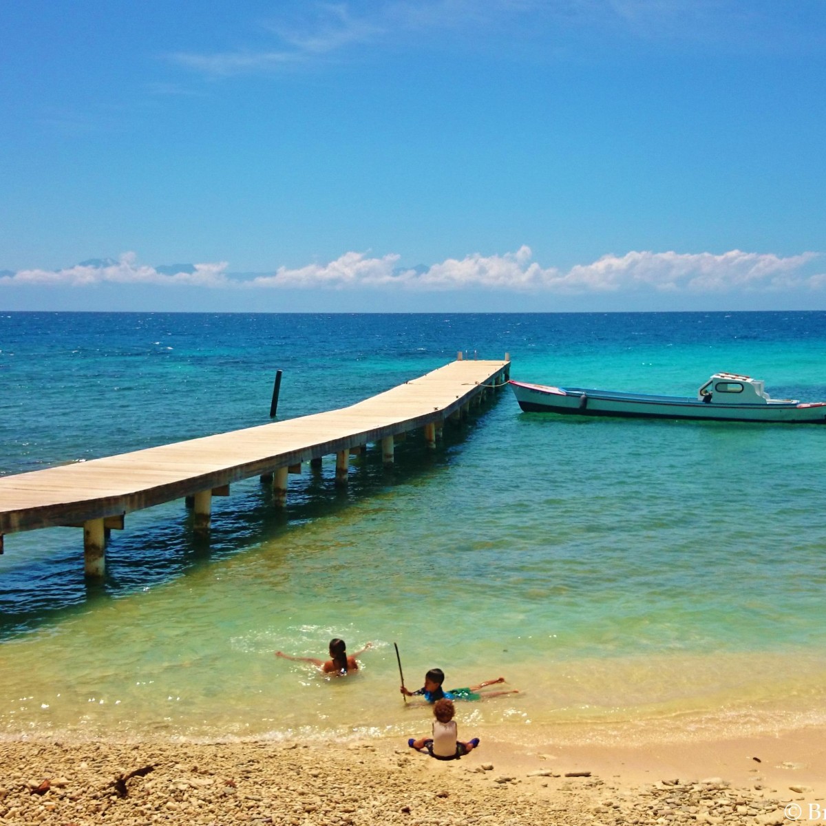 Snorkel at Neptune's Restaurant, South Shore Utila, Honduras