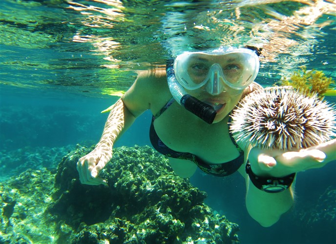 Snorkeling in Utila, Honduras