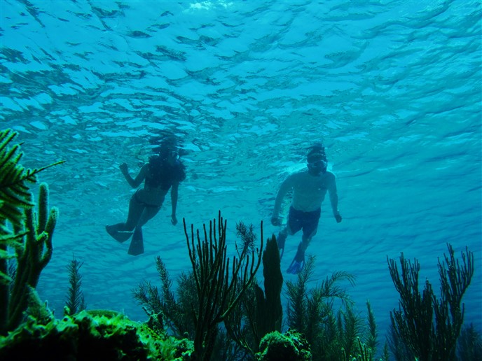Snorkel at South Shore Utila, Honduras