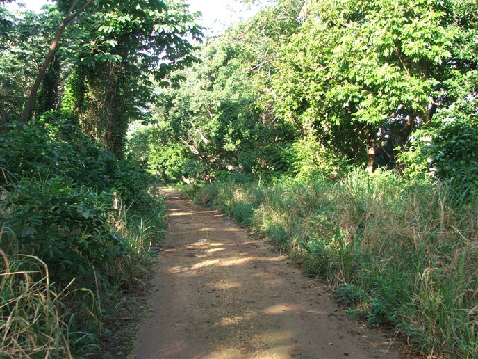 Back Road Exploring in Utila