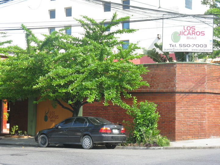 Los Jicaros Hotel San Pedro Sula for travelers to Utila utilaguide.com