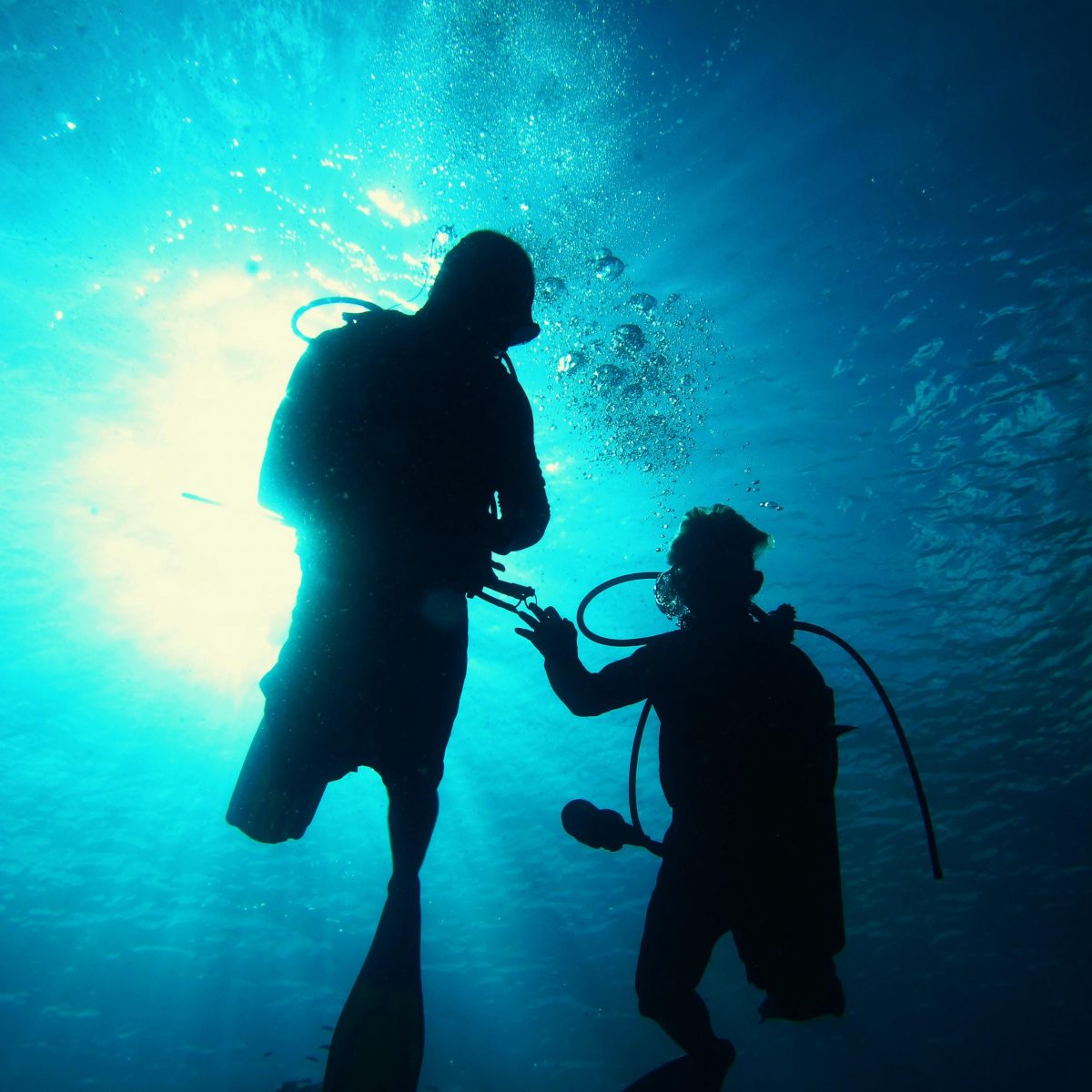 Professional Dive Training in Utila, Bay Islands, Honduras