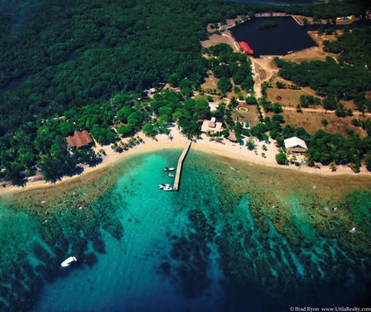 utila-honduras-coral0beach