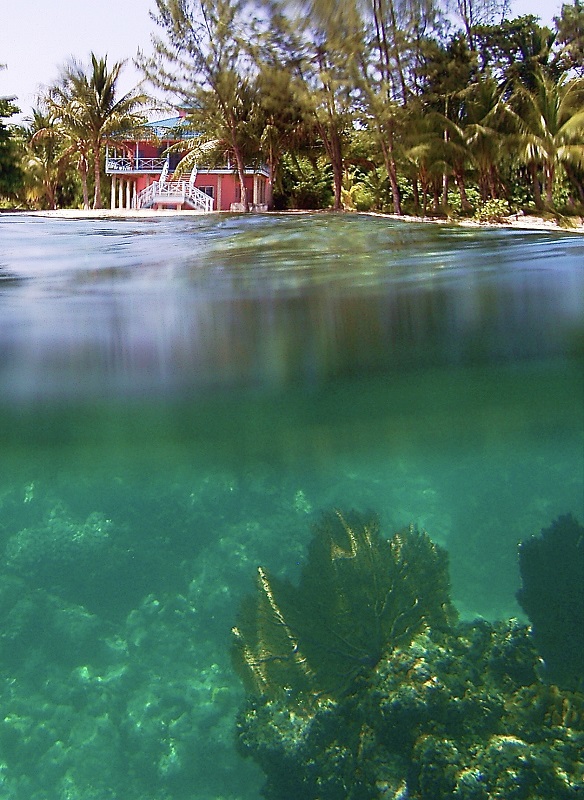 Coral House-4 Bedrooms at Treasure Beach on the South Shore of Utila