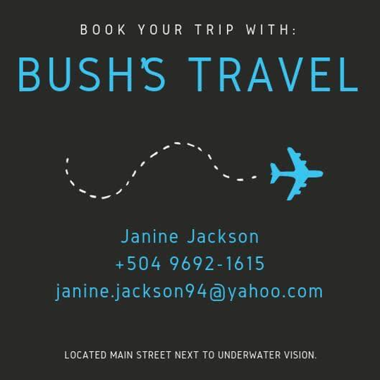 Bush's Travel